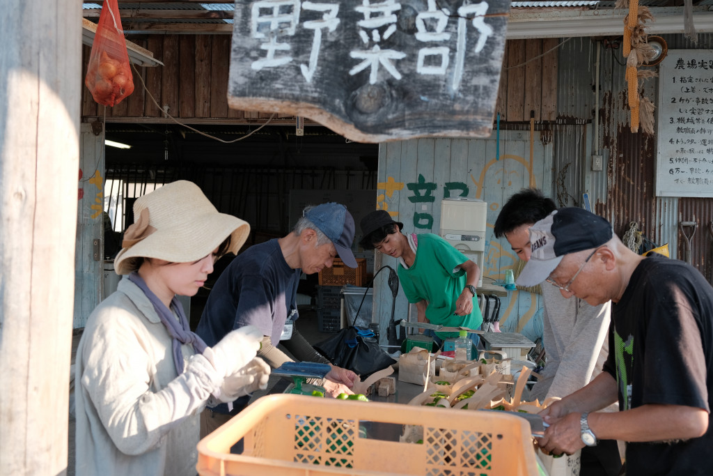 公益社団法人 全国愛農会 » 【締め切りました】2024年 8/17（土）～8/20（火）第128回愛農大学講座「土と繋がる 身体と繋がる」